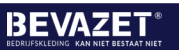 Werkschoeisel